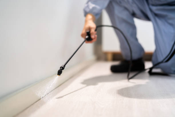 Certified termite inspector examining foundation in Bainbridge Island