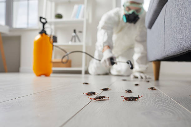 Commercial Kitchen Cockroach Control in Bainbridge Island